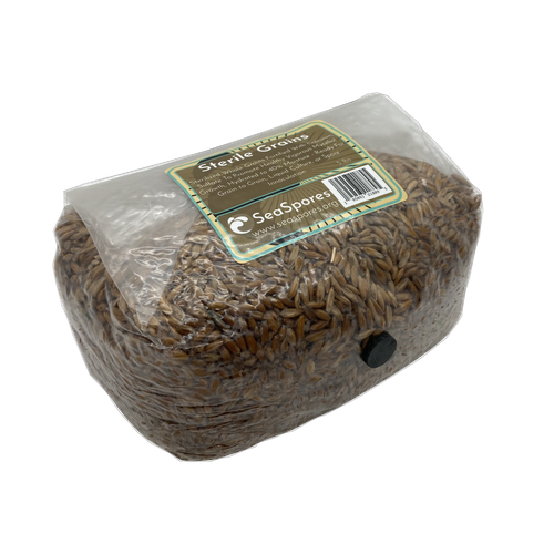 SeaSpores 3.5 qt Sterile Grain Bag